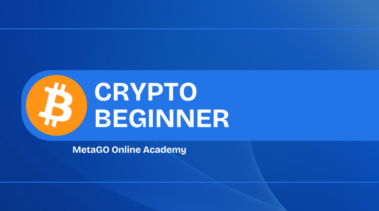 Crypto Beginner (1)